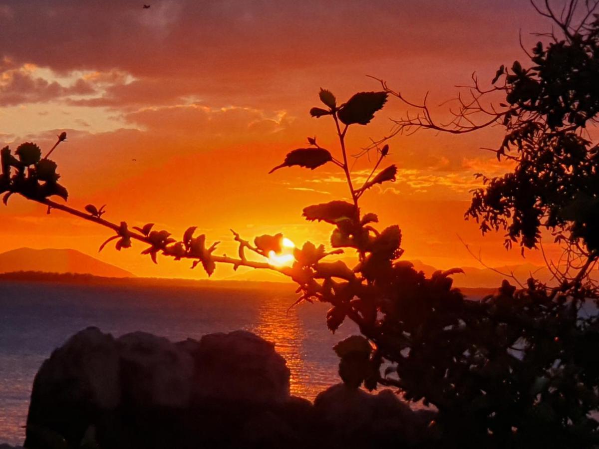 Whitsunday Sands Resort Bowen Buitenkant foto